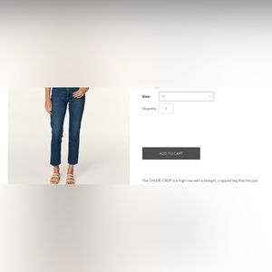 AMO Chloe Crop.  NWT